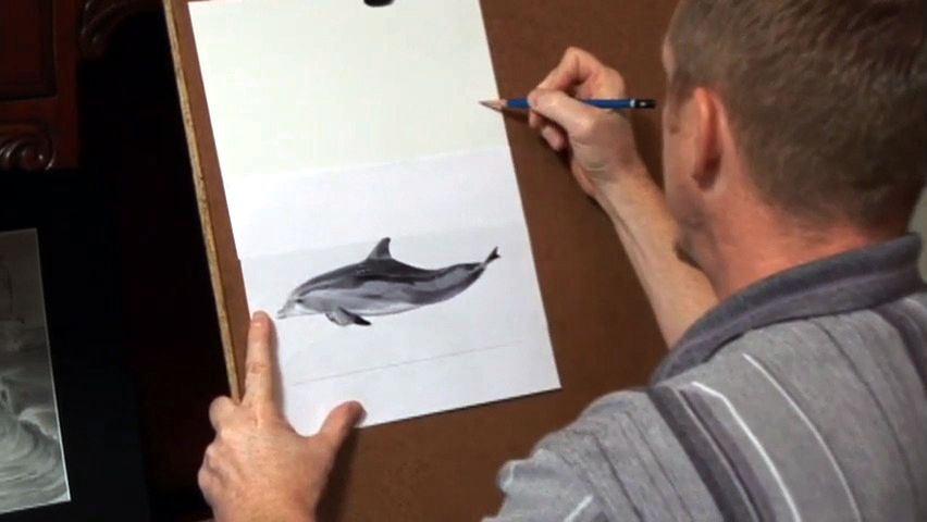"Drawing Dolphins - Pt. 1"