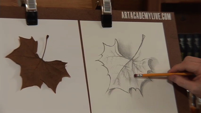 "Drawing a Leaf" - Beginner Series