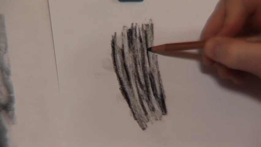 "Drawing Tree Bark with Texture"