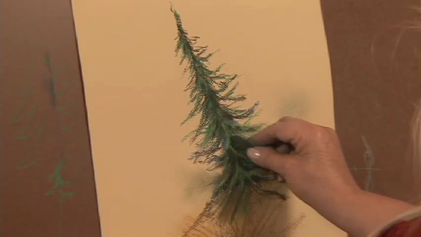 "A Dramatic Spruce Tree" in Pastel